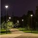 Світильник світлодіодний садово-парковий Lusterlicht QPNL 150 Вт 52517 фото 6