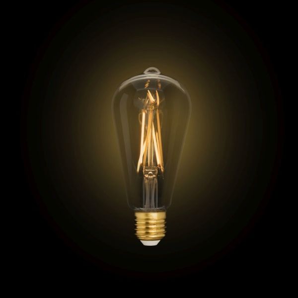 Лампа філаментна Lutec iDual Filament Amber FL ST64 9W E27 з пультом дистанційного керування 51465 фото