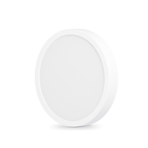 LED Светильник круглый накладной VIDEX 18W 5000K White 24626 фото