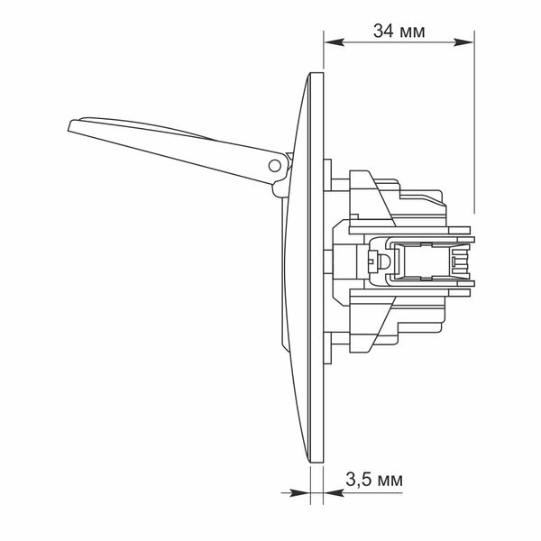 Розетка одинарная с заземлением и крышкой белая VIDEX BINERA VF-BNSK1GС-W фото