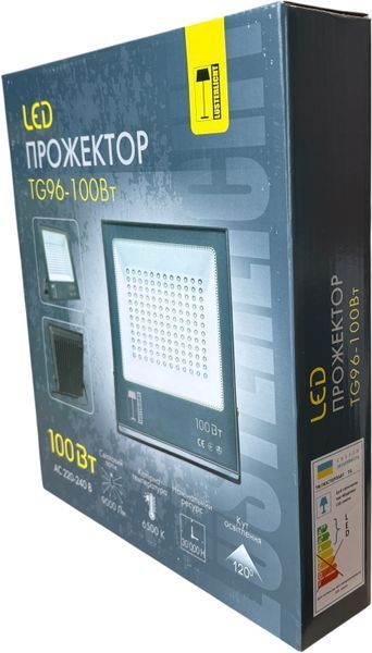 Прожектор TG-96 100Вт 6500K IP65 (сірий) 66281 фото