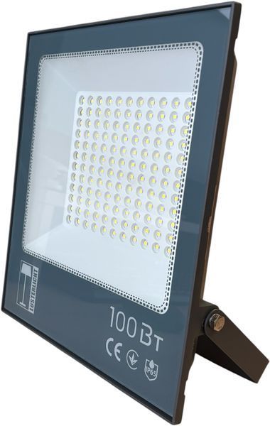 Прожектор TG-96 100Вт 6500K IP65 (сірий) 66281 фото