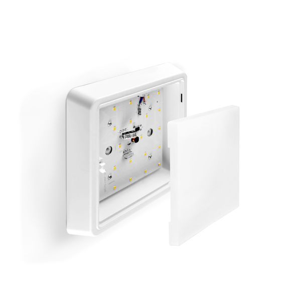 LED Светильник квадратный накладной TITANUM 18W 5000K 220V 27088 фото