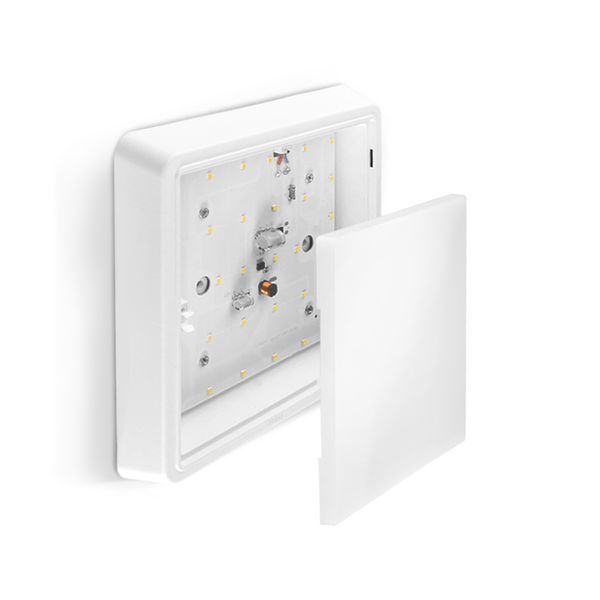 LED Светильник квадратный накладной TITANUM 24W 5000K 27089 фото