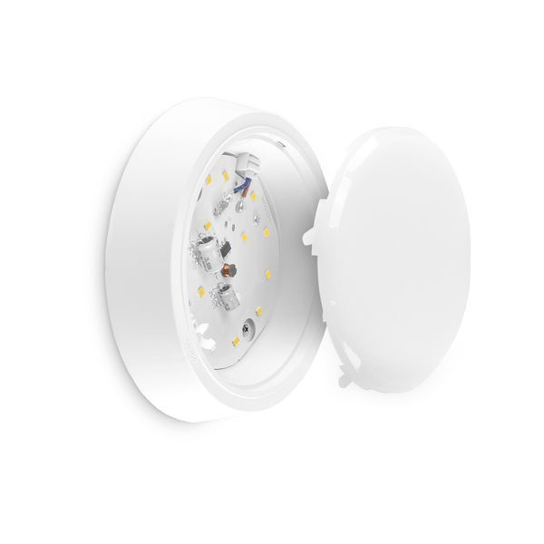 LED Світильник круглий накладний TITANUM 12W 5000K 27084 фото