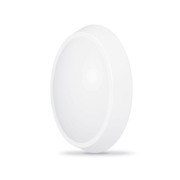 LED світильник IP65 овальний VIDEX 12W 5000K білий сенсорний 24852 фото