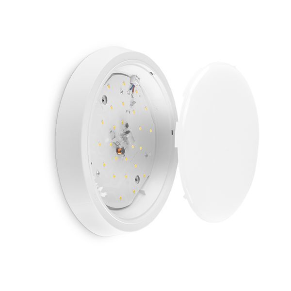 LED Светильник круглый накладной TITANUM 24W 5000K 27086 фото