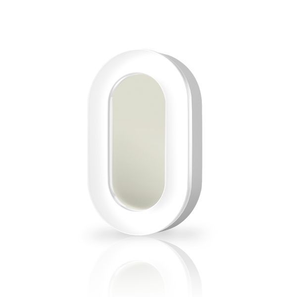 LED світильник ART IP65 овальний VIDEX 11W 5000K 25245 фото
