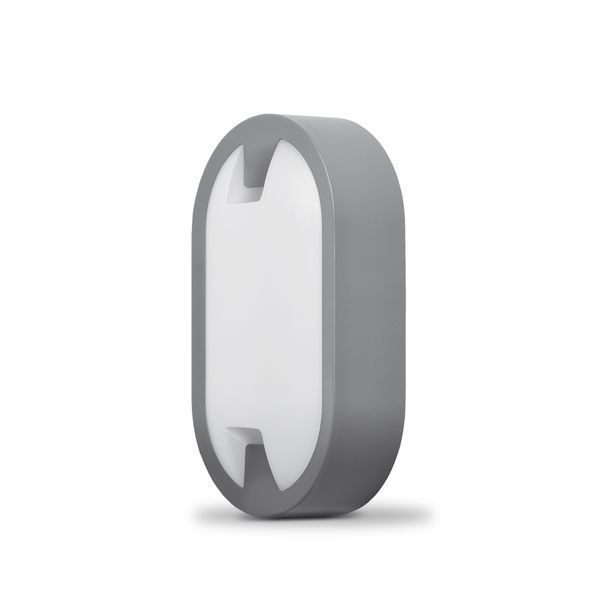 LED світильник IP65 овальний VIDEX 15W 5000K сірий 25805 фото