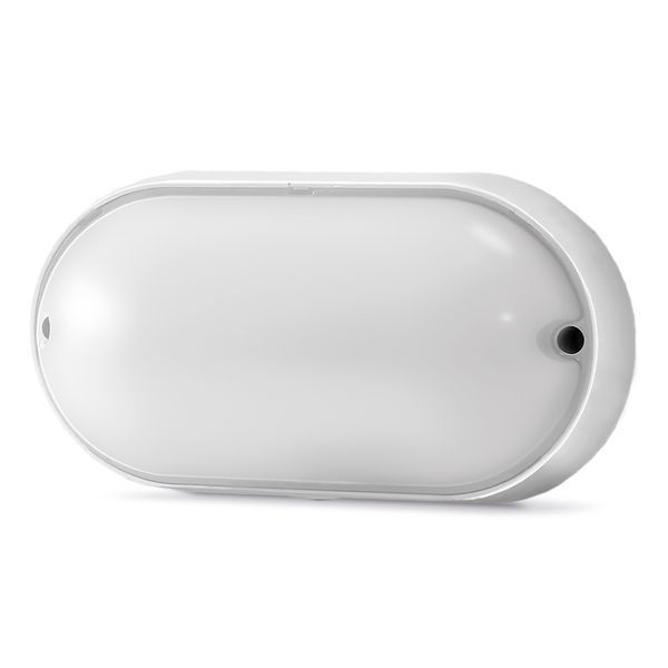 LED світильник IP65 овальний VIDEX 9W 5000K білий 24255 фото