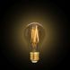 Лампа філаментна Lutec iDual Filament Amber FL A60 9W E27 51611 фото 6