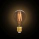 Лампа филаментная Lutec iDual Filament Amber FL A60 9W E27 51611 фото 3