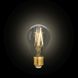 Лампа філаментна Lutec iDual Filament Amber FL A60 9W E27 51611 фото 5
