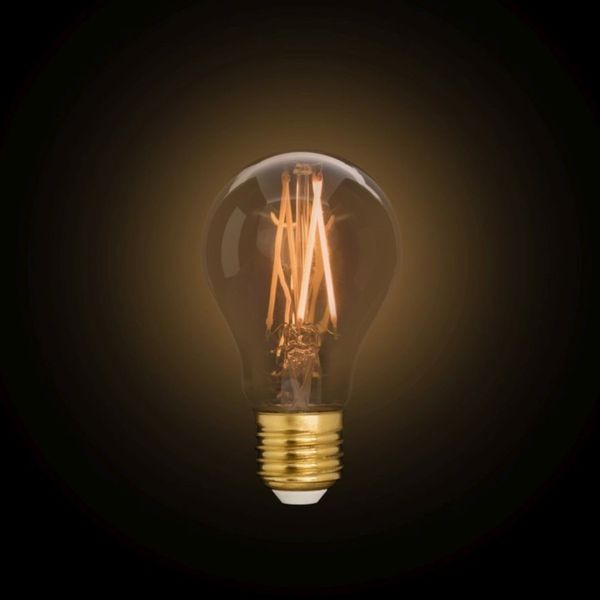 Лампа філаментна Lutec iDual Filament Amber FL A60 9W E27 з пультом дистанційного керування 51459 фото