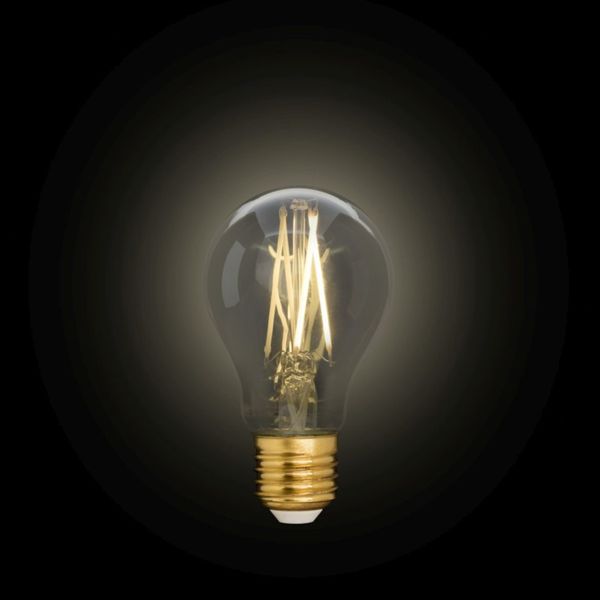 Лампа філаментна Lutec iDual Filament Amber FL A60 9W E27 з пультом дистанційного керування 51459 фото