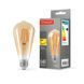 LED лампа TITANUM Filament ST64 6W E27 2200K бронза 25527 фото 1