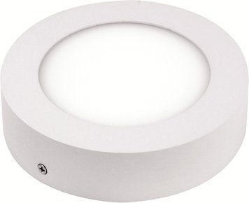 Светильник накладной CAROLINE-12 12W 4200К Horoz Electric 016-025-0012-030 фото