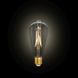 Лампа филаментная Lutec iDual Filament Amber FL ST64 9W E27 51630 фото 5