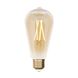 Лампа філаментна Lutec iDual Filament Amber FL ST64 9W E27 51630 фото 1
