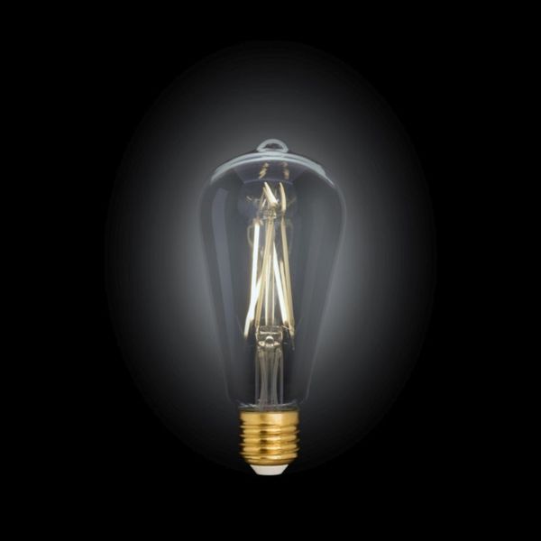 Лампа филаментная Lutec iDual Filament Amber FL ST64 9W E27 с пультом дистанционного управления 51465 фото