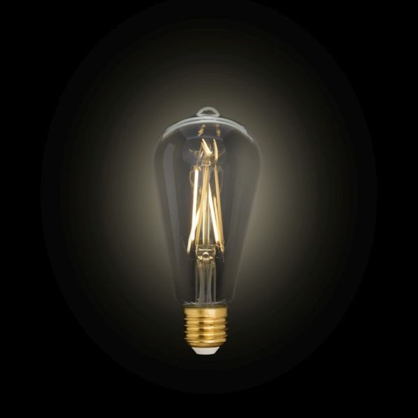 Лампа филаментная Lutec iDual Filament Amber FL ST64 9W E27 с пультом дистанционного управления 51465 фото