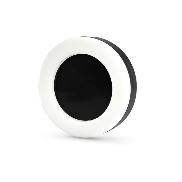 LED світильник ART IP65 круглий VIDEX 15W 5000K Black 27813 фото
