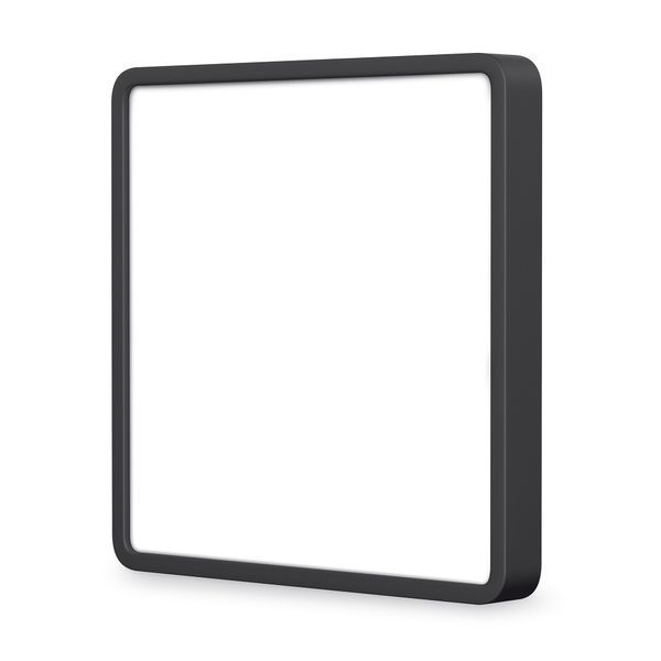 LED Світильник накладний квадрат VIDEX 24W 5000K Black 27802 фото