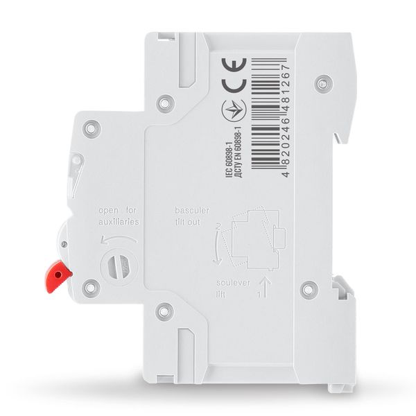 Автоматический выключатель RS4 2п 63А С 4,5кА VIDEX RESIST VF-RS4-AV2C63 фото